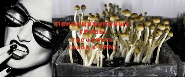 метамфетамин Алексин